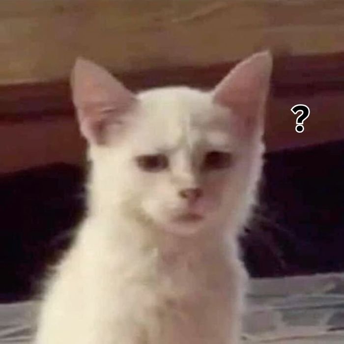 ảnh meme hỏi chấm siêu hài