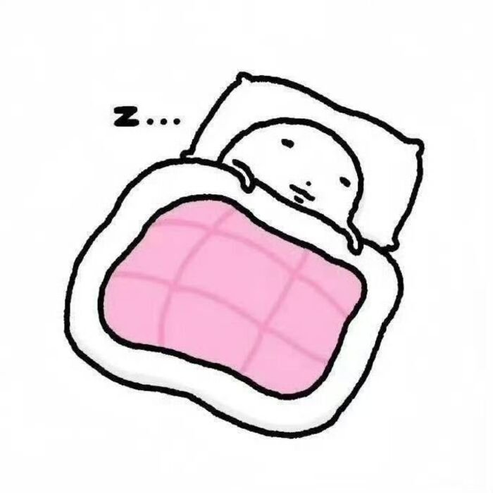 ảnh meme ngủ cute