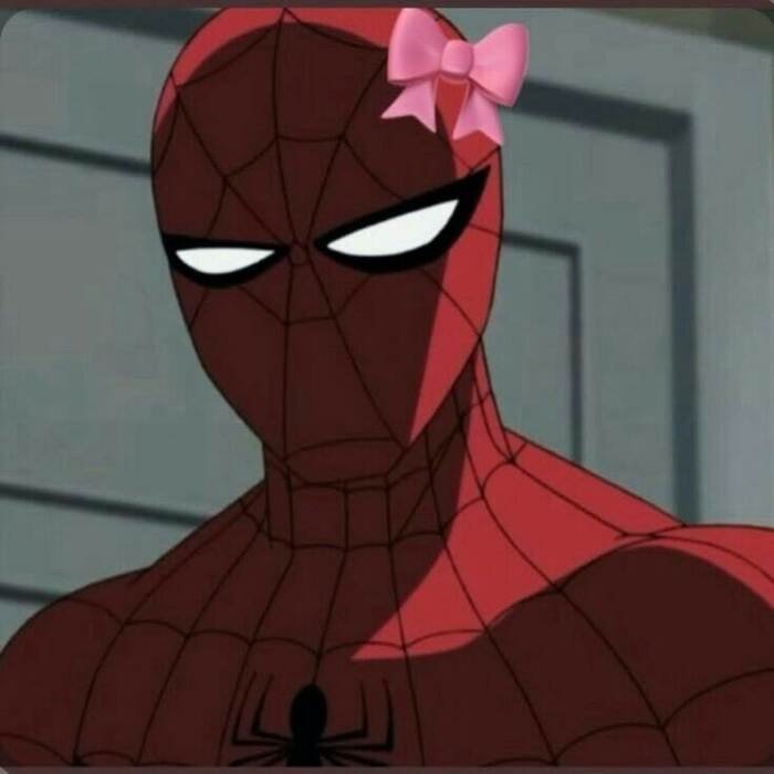 ảnh meme người nhện cute