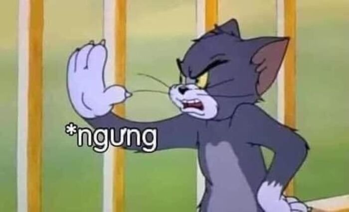 ảnh meme stop