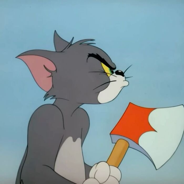ảnh meme tom