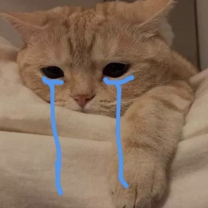hình ảnh meme an ủi