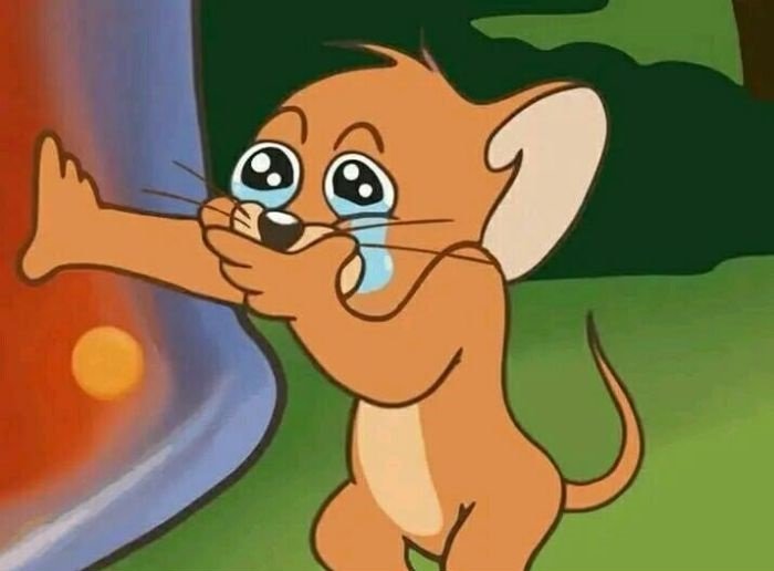 meme an ủi chuột jerry