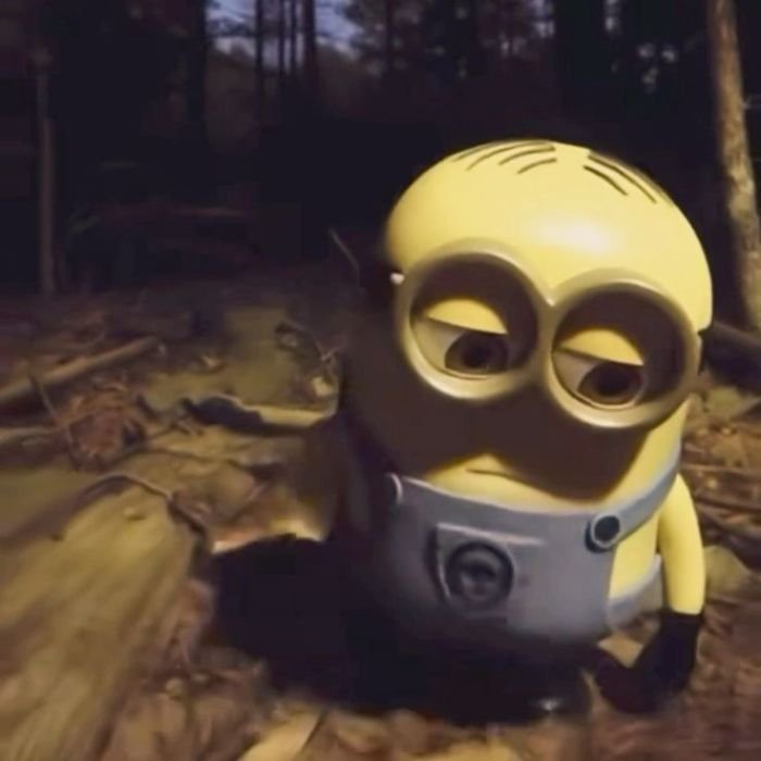 meme an ủi minion