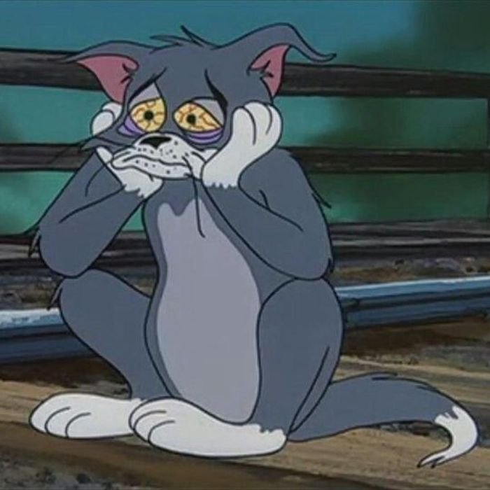 meme an ủi sầu