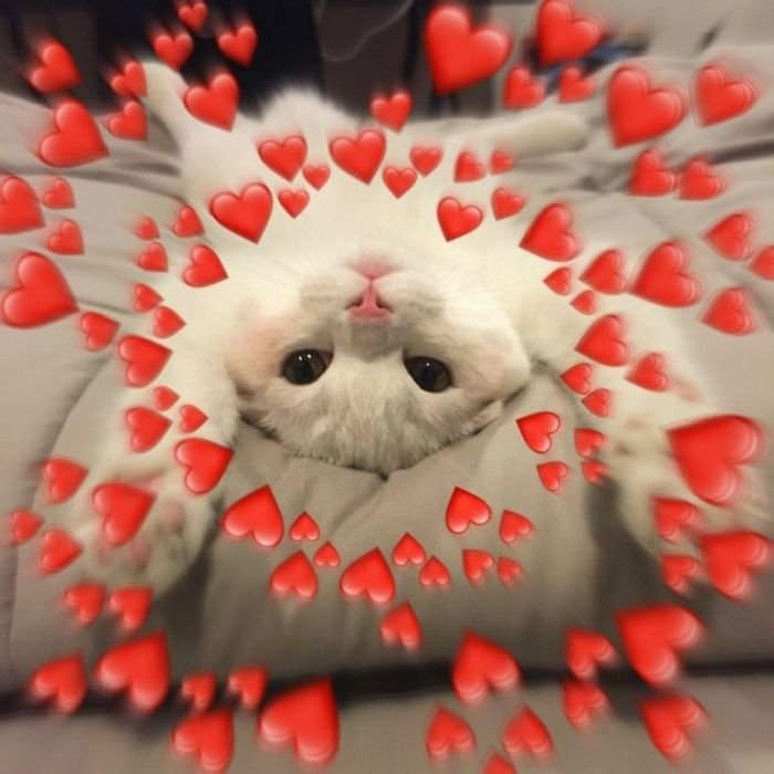 meme bắn tim tim nhiều