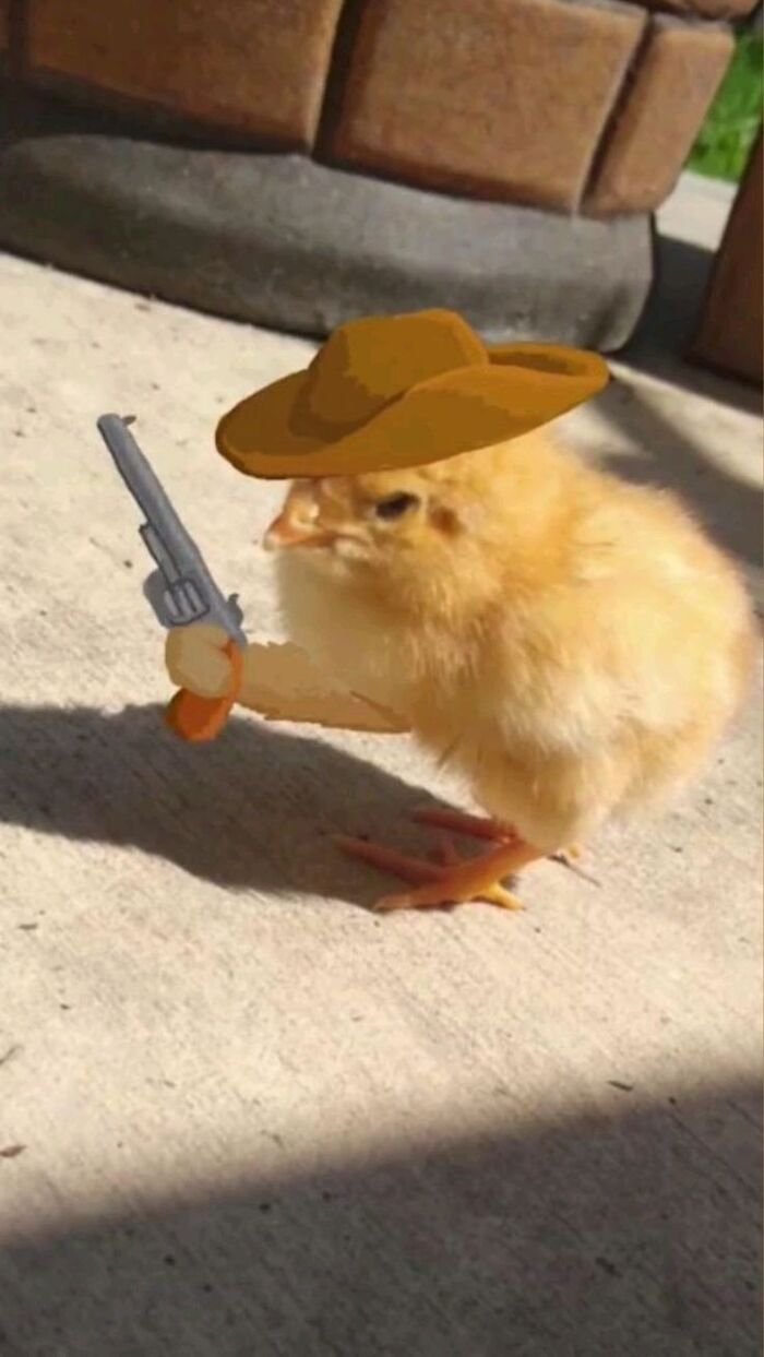 meme cầm súng vịt