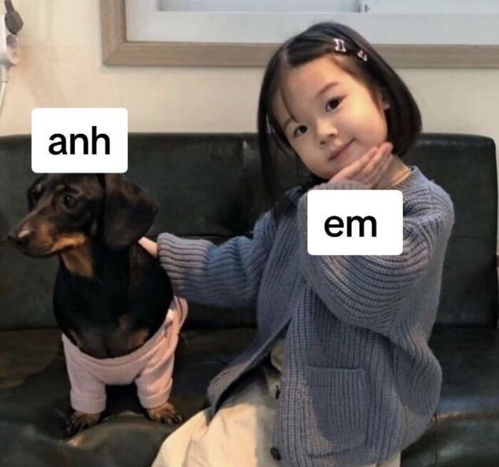 meme đáng yêu bé xinh