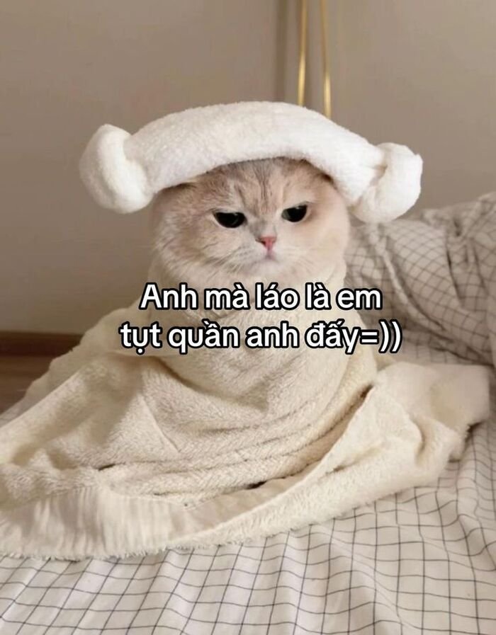 meme đáng yêu xinh
