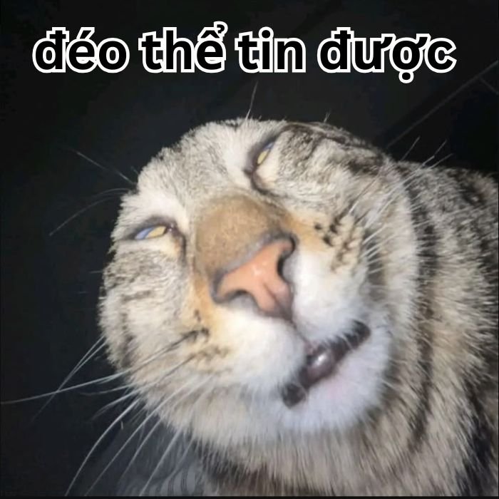 meme đéo tin chế hài