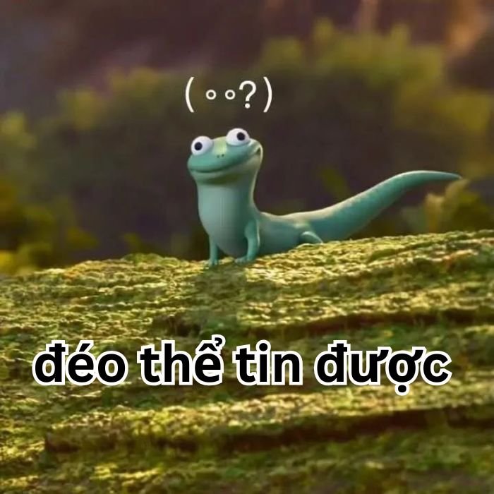 meme đéo tin cực hài