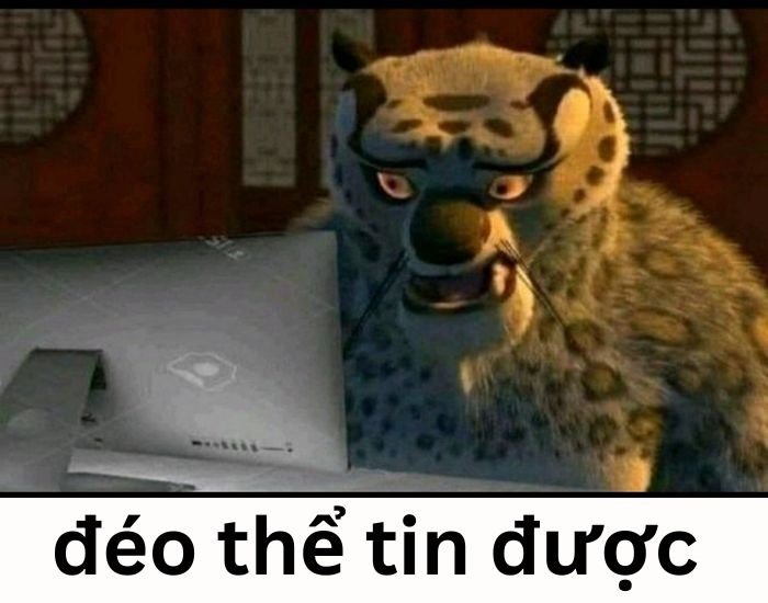 meme đéo tin ghép mèo