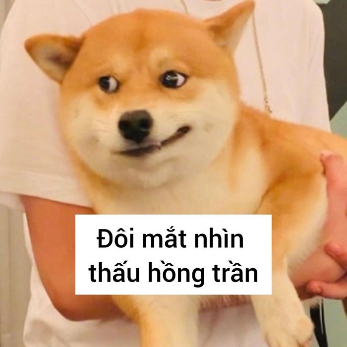 meme đéo tin ghép
