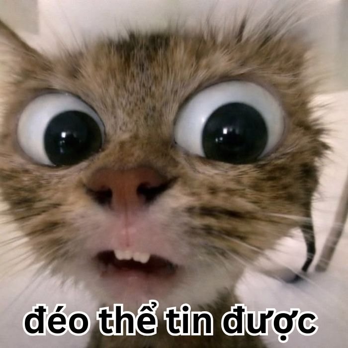 meme đéo tin hài nhất
