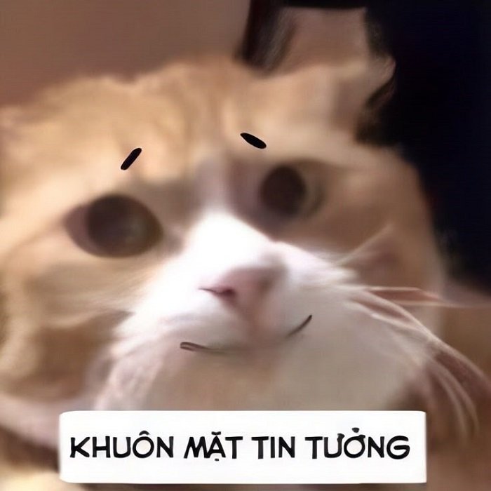 meme đéo tin hài