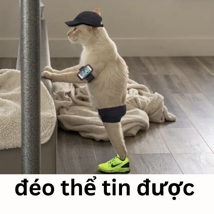 meme đéo tin siêu bựa