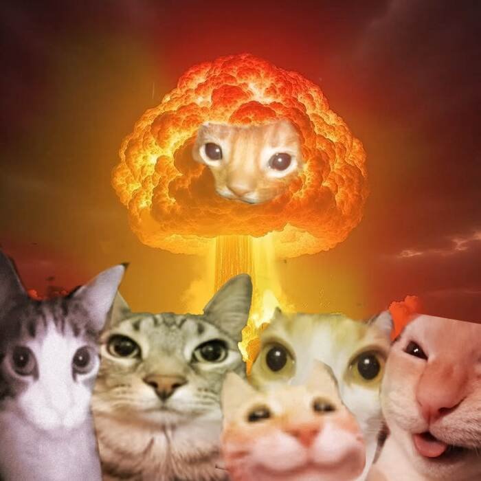 meme giận siêu yêu