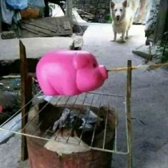meme hết tiền bựa nhất