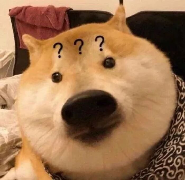 meme hỏi chấm shiba