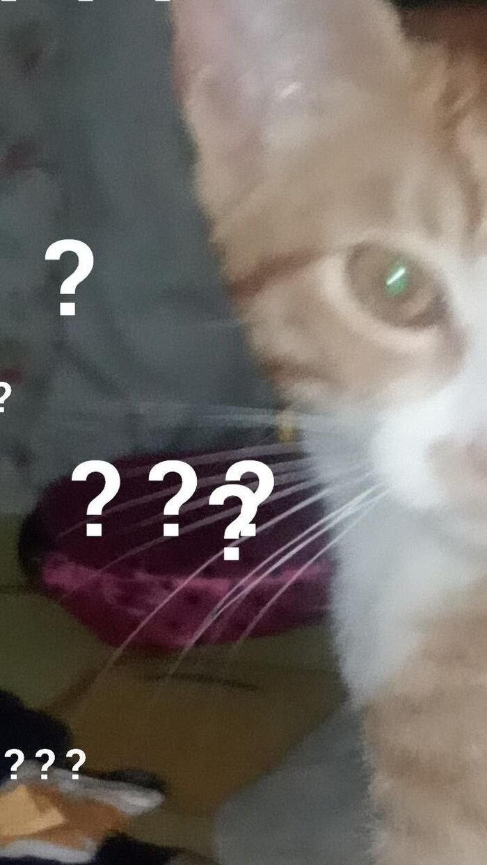 meme hỏi chấm siêu hài