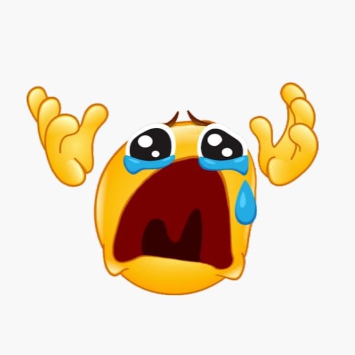 meme icons bựa khóc