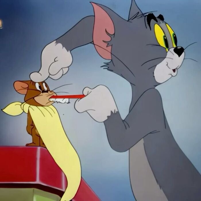meme tom and jerry bón