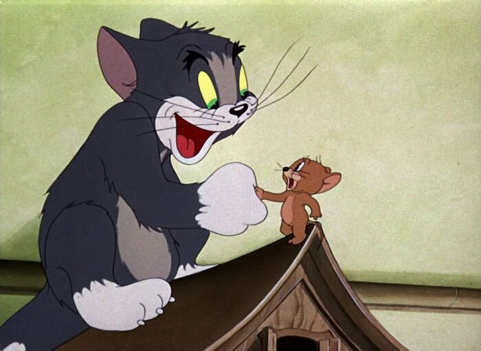 meme tom and jerry bựa
