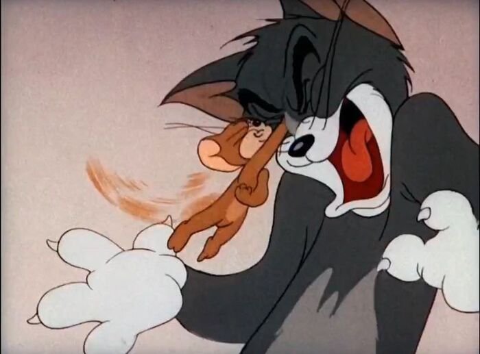 meme tom and jerry cười