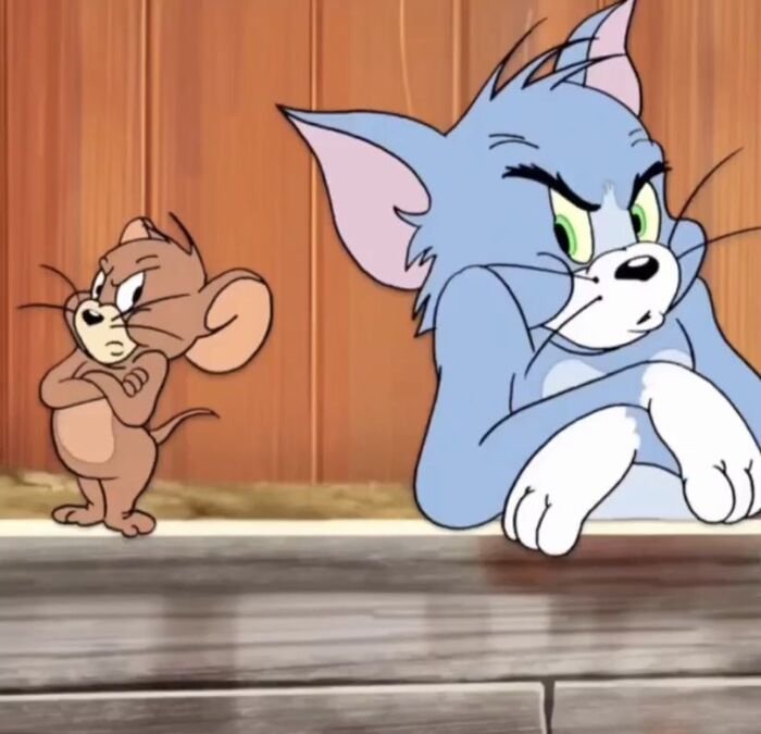 meme tom and jerry ghét