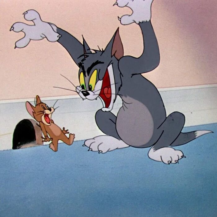 meme tom and jerry hài