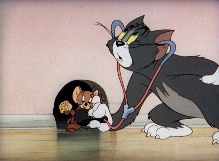 meme tom and jerry khám