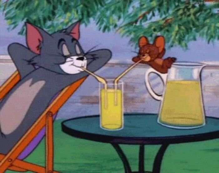 meme tom and jerry kinh điển