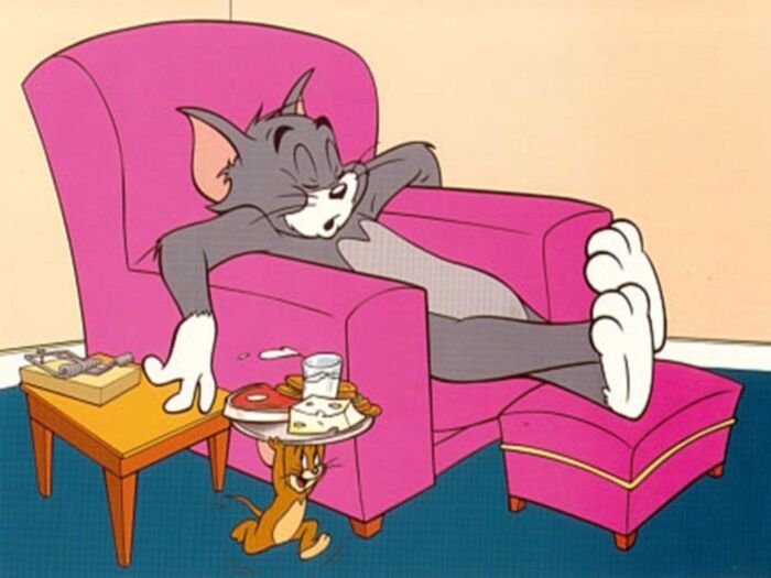 meme tom and jerry nằm