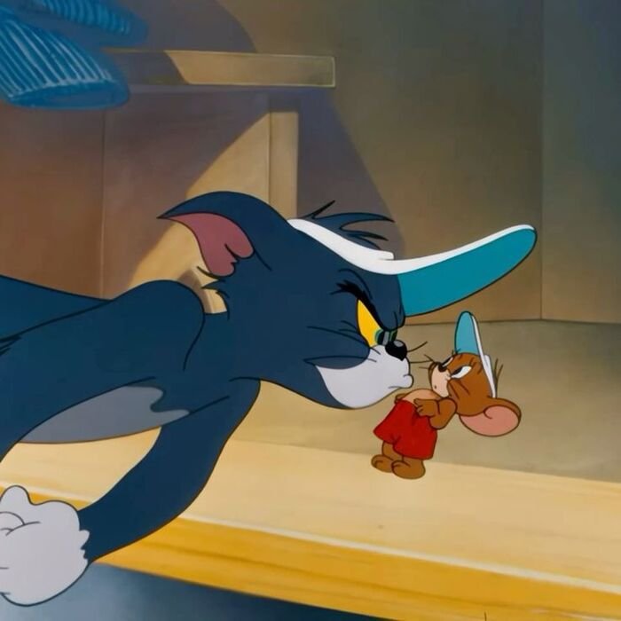 meme tom and jerry nhìn