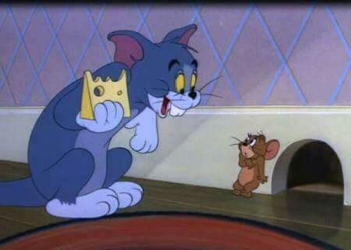 meme tom and jerry siêu bựa