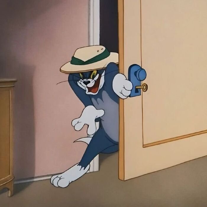 meme tom bựa