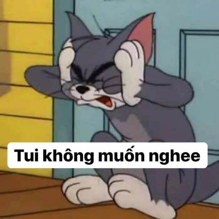 meme tom cực bựa