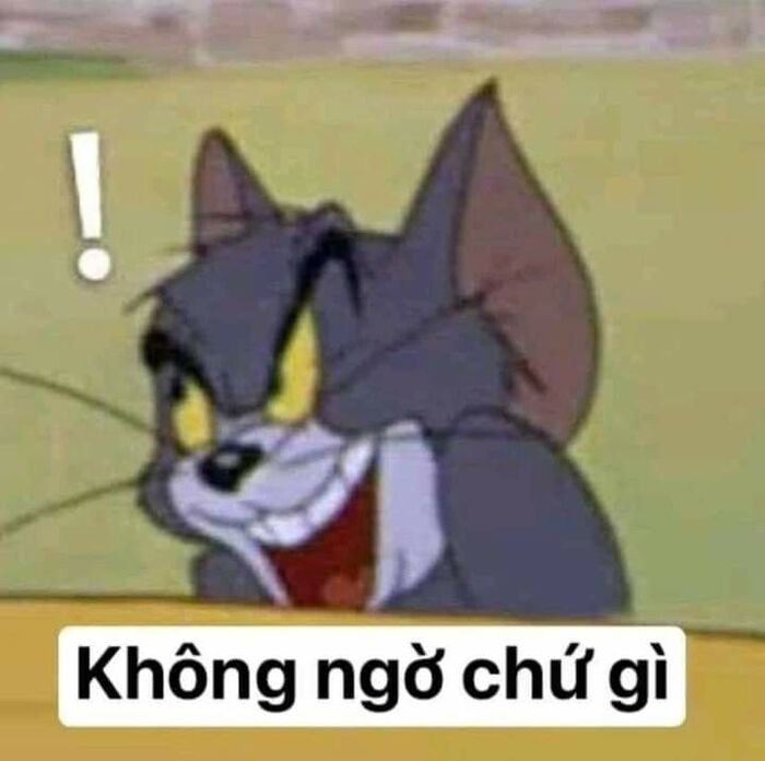 meme tom cực hài