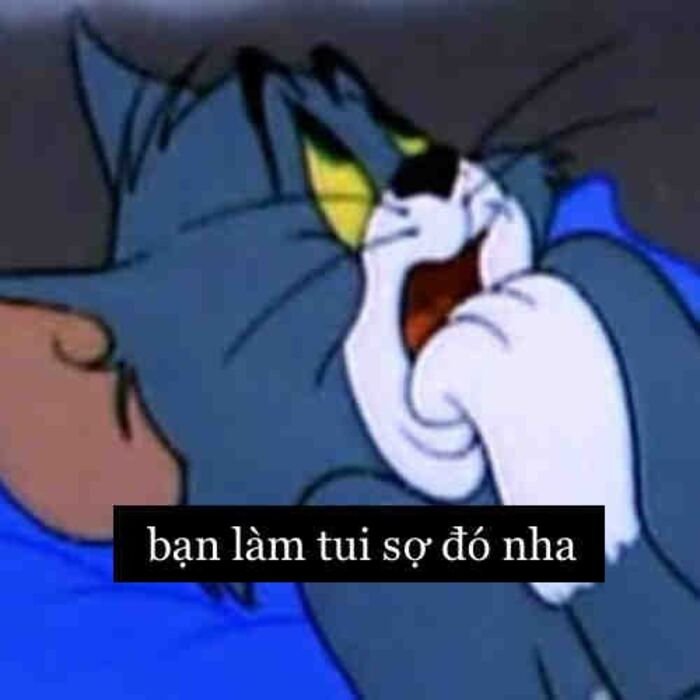 meme tom hài nhất