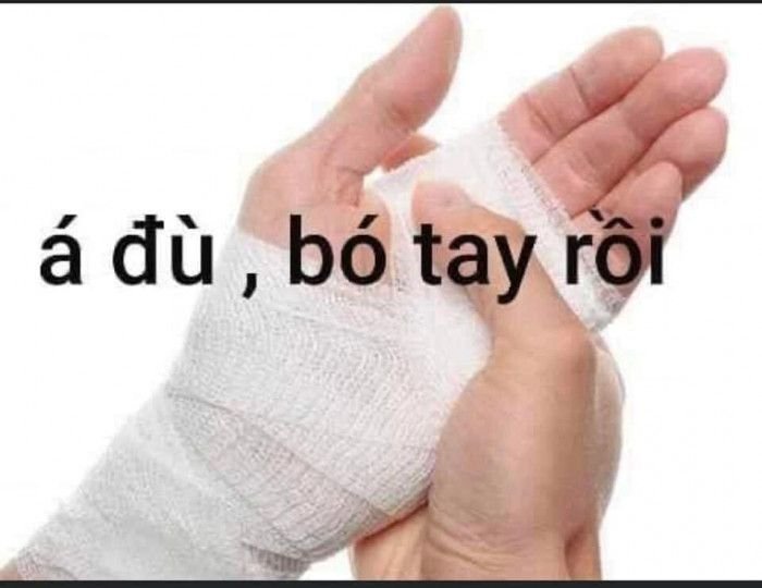 meme việt nam bó tay