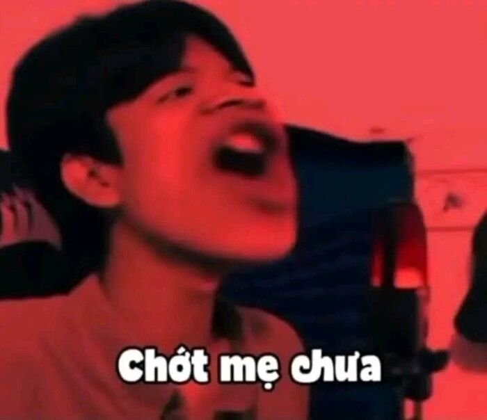 meme việt nam chớt