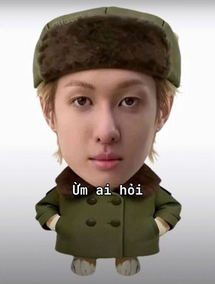 meme việt nam martin
