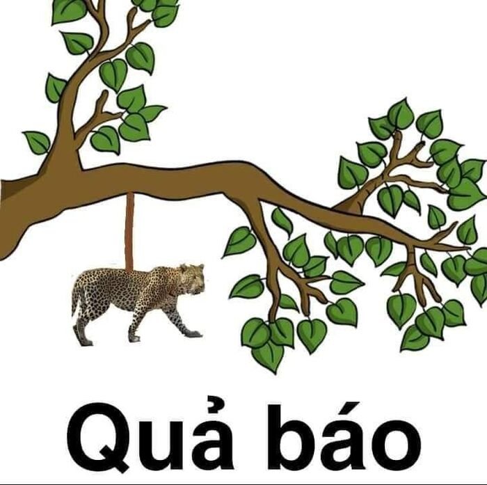 meme việt nam quả báo