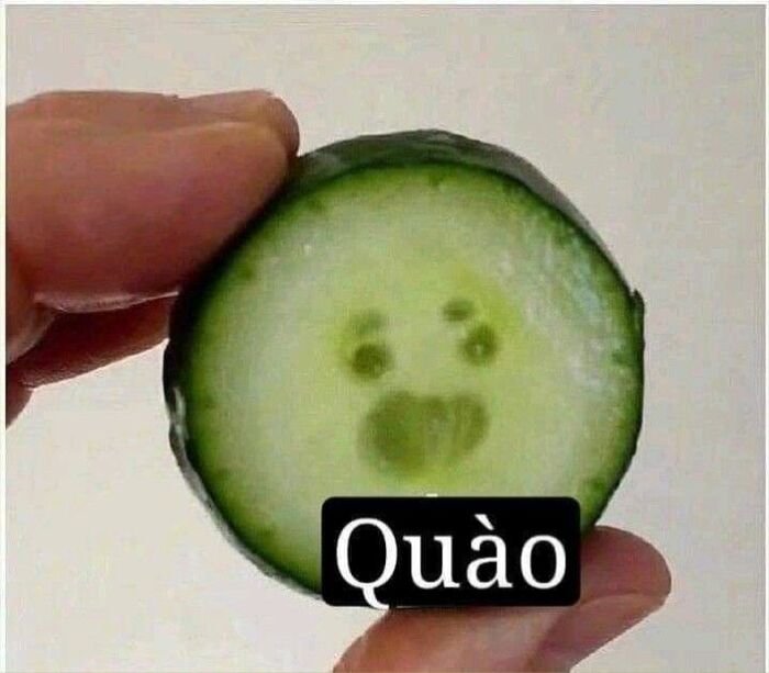 meme việt nam quào