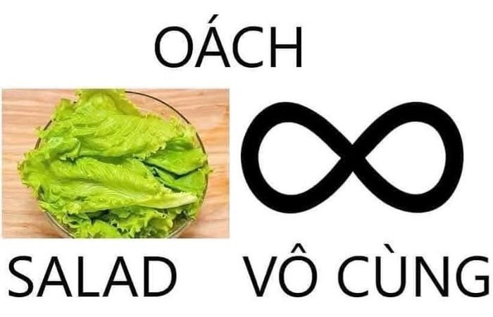 meme việt nam vô cùng