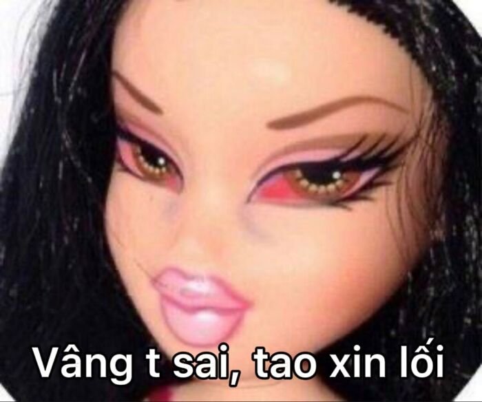 meme việt nam xin lỗi